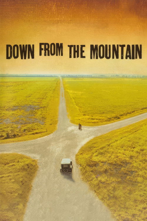 Down from the Mountain (2001) poster