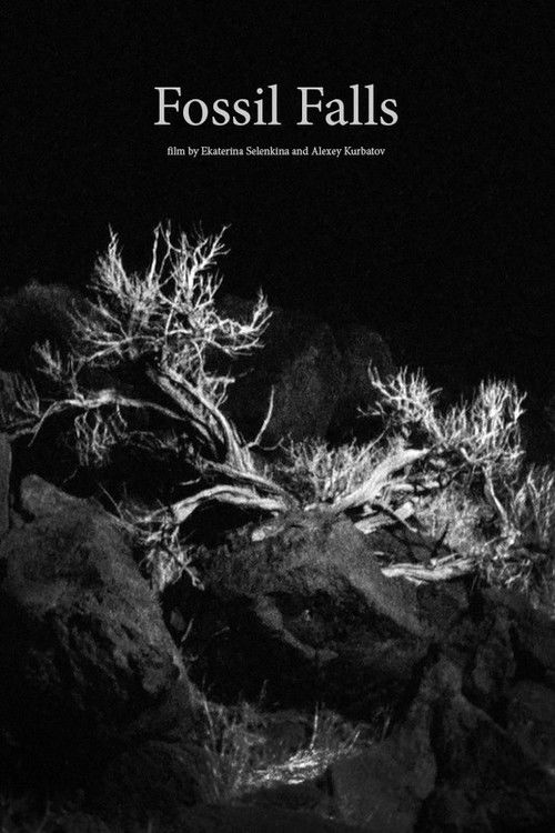 Fossil Falls (2019) poster