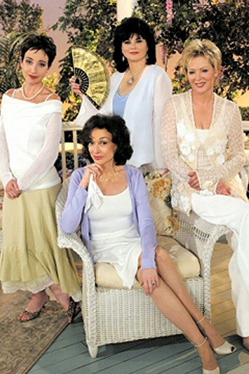The Designing Women Reunion (2003) poster