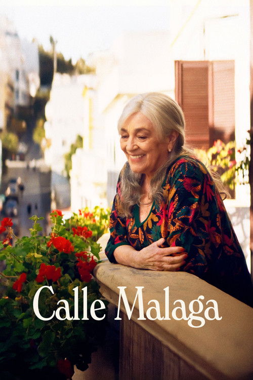 Calle Málaga (2025) poster