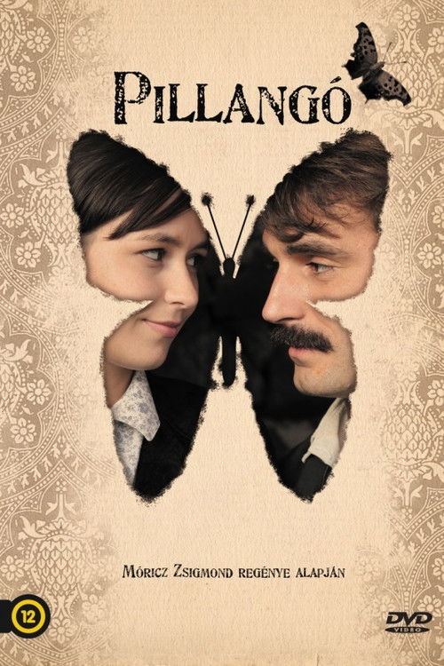 Pillangó (2012) poster