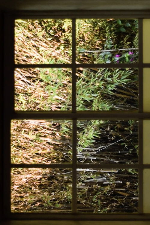 I Imagine a Text that Changes (2020) poster