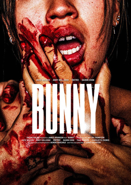 Bunny Rabbit (2025) poster