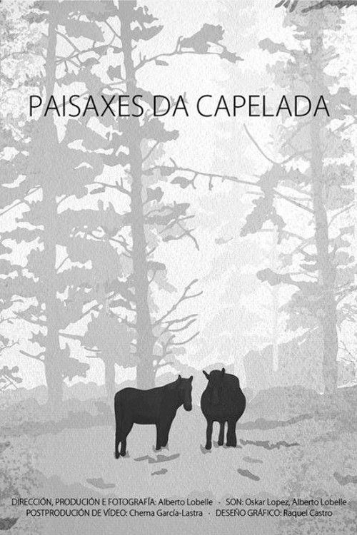 Paisaxes da Capelada (2017) poster