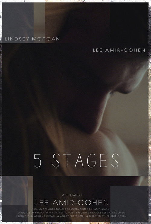 5 Stages (2014) poster