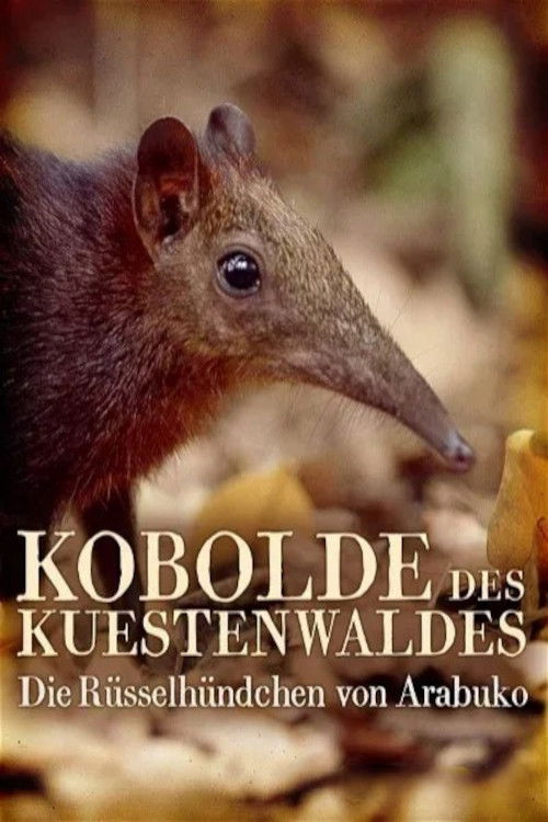 Kobolde des Küstenwaldes - Die Rüsselhündchen von Arabuko (2007) poster