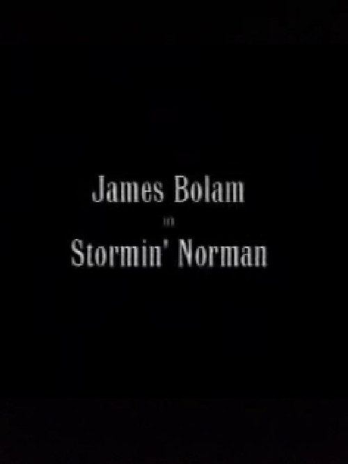 Stormin' Norman (2000) poster