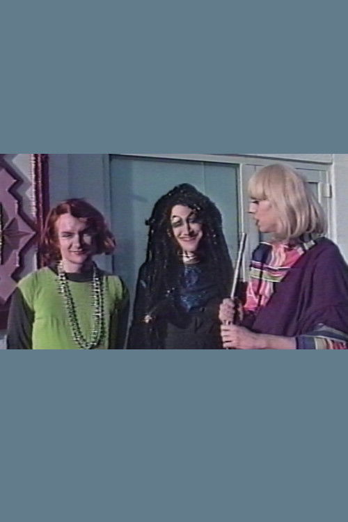 Seize Control of the Taj Mahal (Redux) (1991) poster