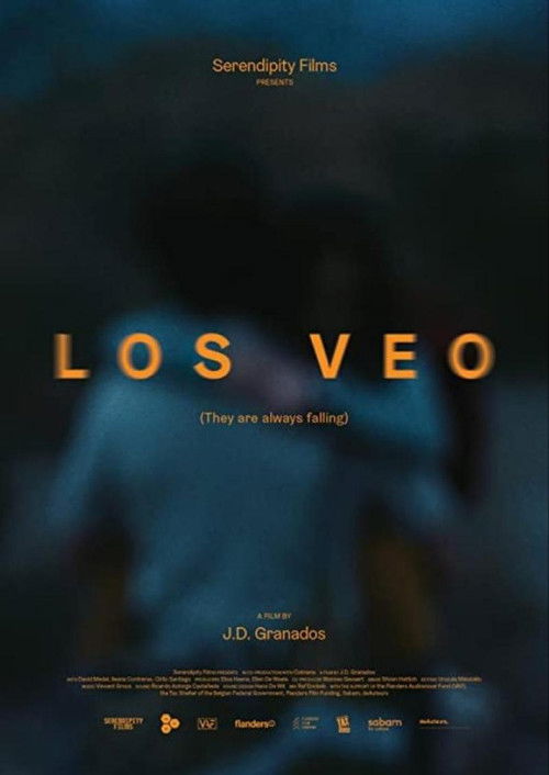 Los Veo (2020) poster