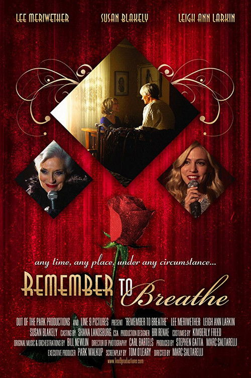 Remember to Breathe (2013) poster