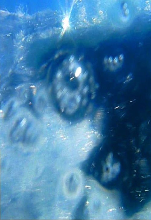 A fleur d’eau… (2009) poster