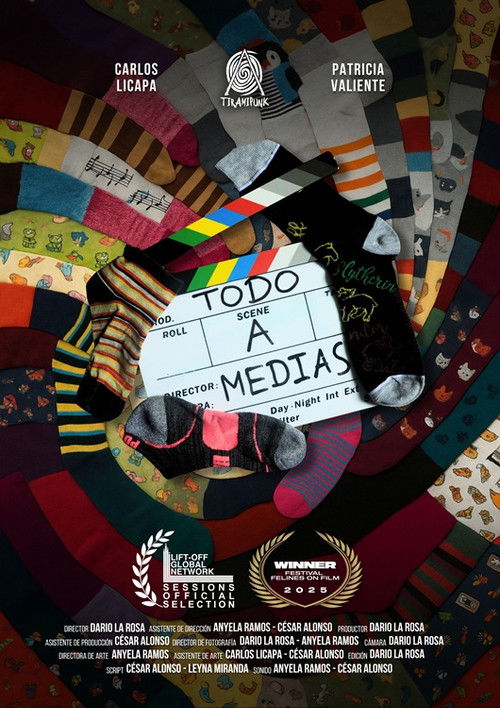 Todo a medias (2025) poster
