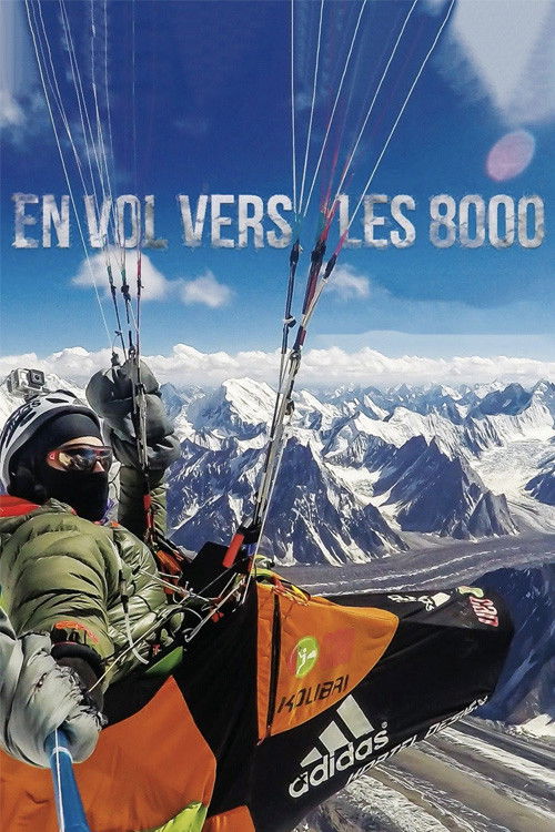 Flying to 8000 Metres (2017) poster