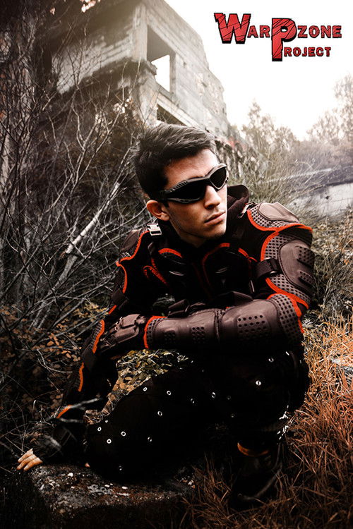 Warpzone Project (2012) poster