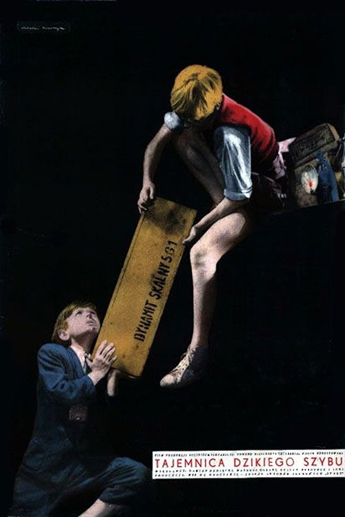 Tajemnica dzikiego szybu (1956) poster