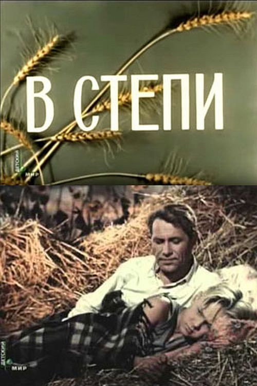 В степи (1951) poster