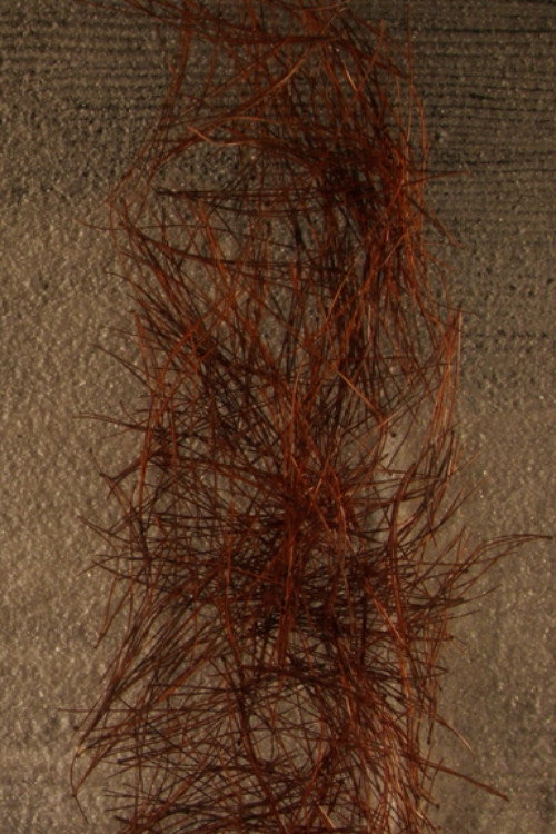 Kigo (2013) poster