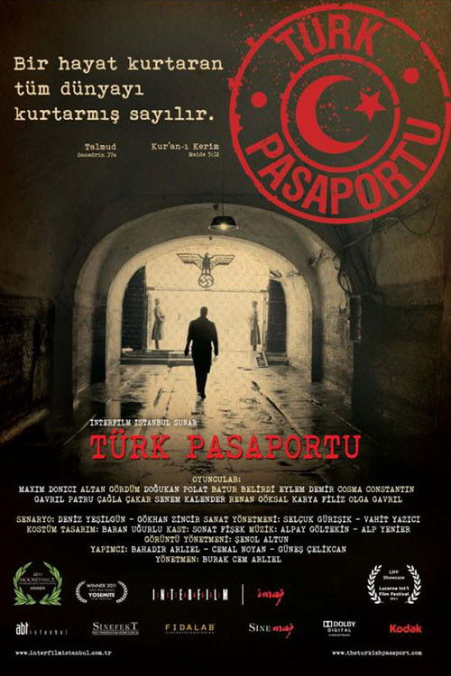 Türk Pasaportu (2011) poster