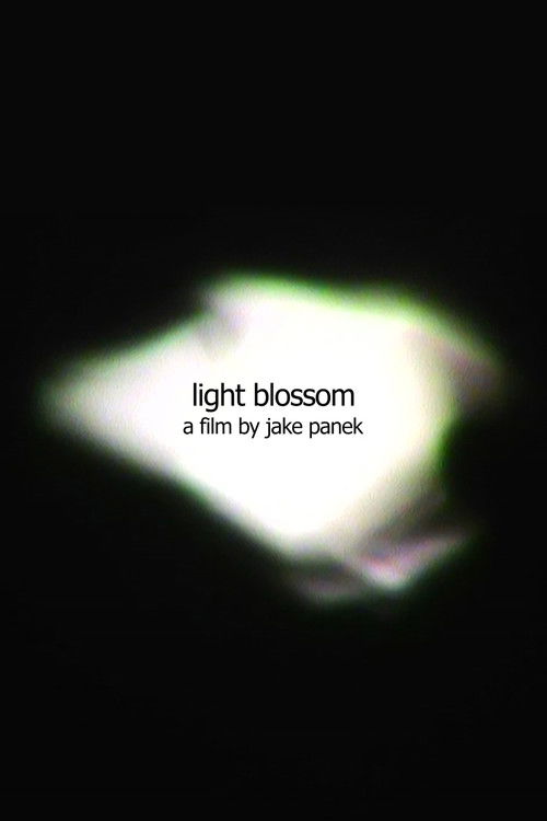 light blossom (2025) poster