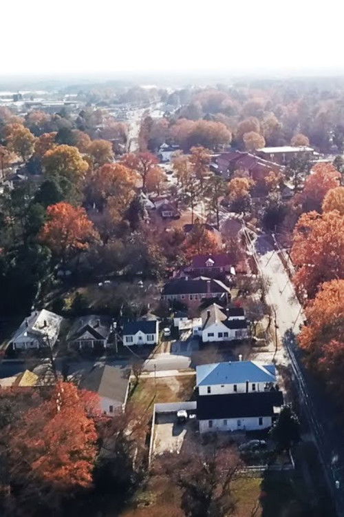 Discreet Airlift (2018) poster