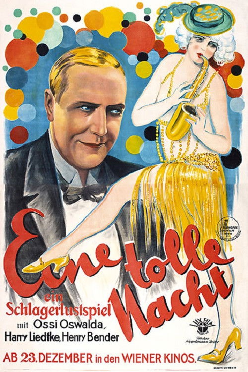 A Crazy Night (1927) poster