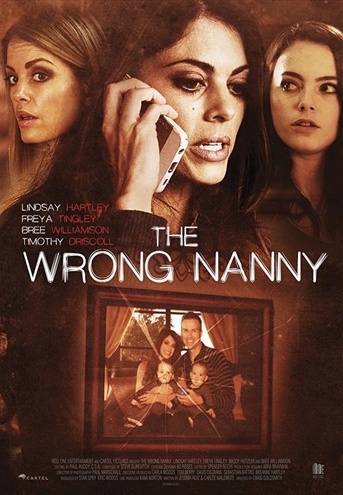 The Wrong Nanny (2017) poster