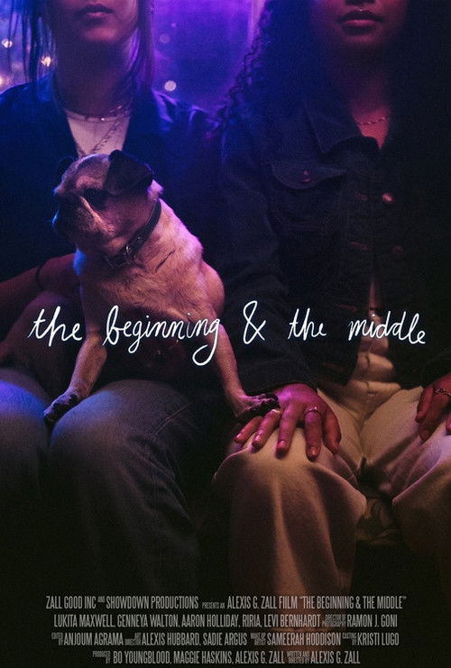 The Beginning & the Middle (2021) poster