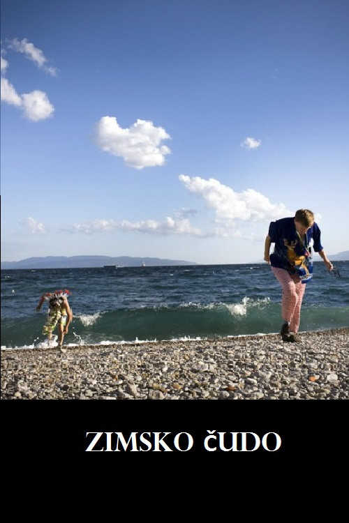 Winter Miracle (2012) poster