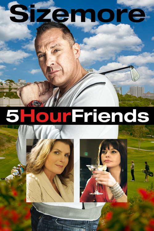 5 Hour Friends (2014) poster