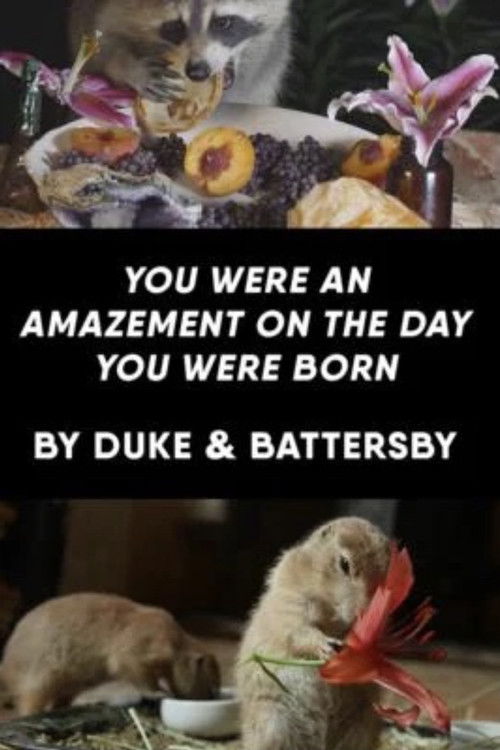 You Were an Amazement on the Day You Were Born (2019) poster