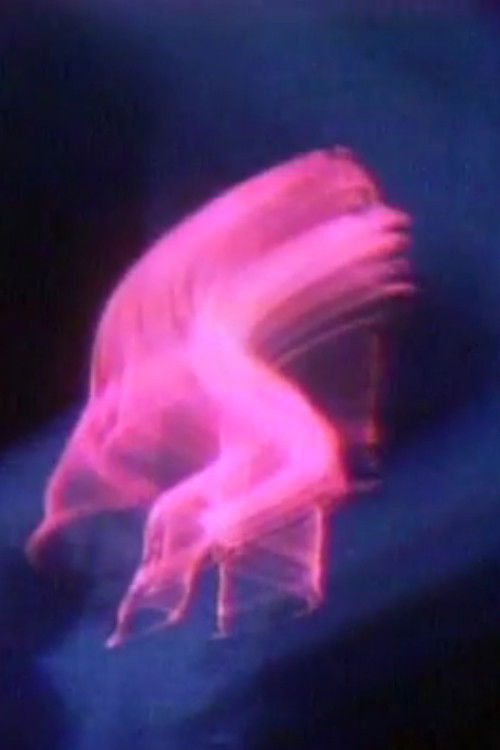 Terminal Self (1972) poster