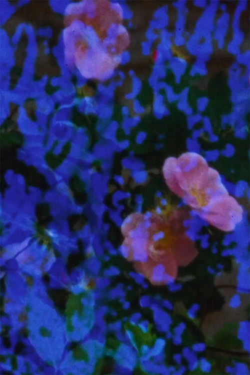 Events in the Tunnel (2022) poster