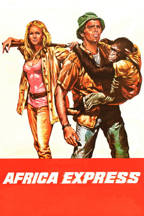 Africa Express (1975) poster