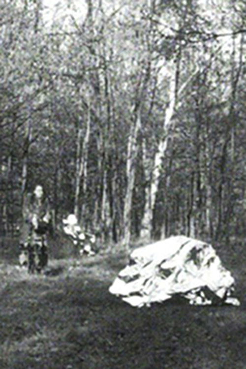 The Protection Foil (1983) poster