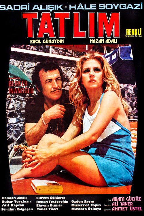 Tatlım (1973) poster