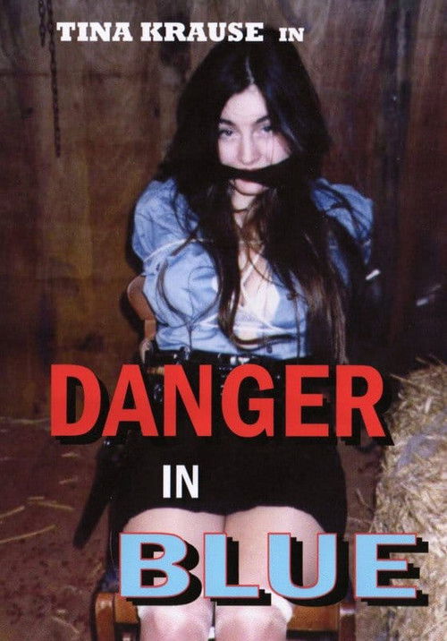 Danger in Blue (1996) poster