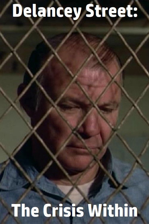 Delancey Street: The Crisis Within (1975) poster