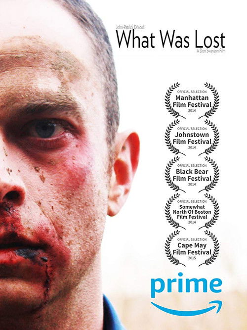 What Was Lost (2014) poster
