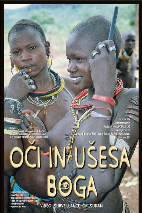 Eyes and Ears of God: Video Surveillance of Sudan (2012) poster
