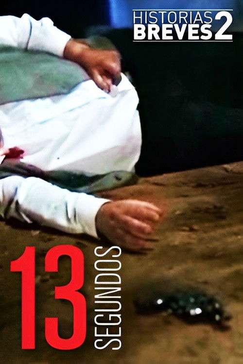 Historias Breves II: Trece Segundos (1996) poster