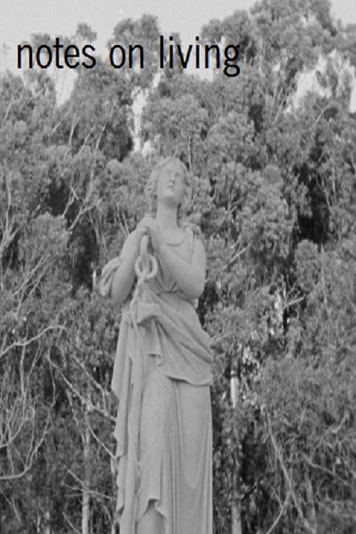 Notes on Living (2018) poster