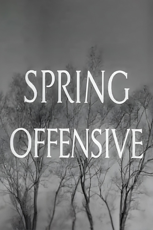 Spring Offensive (1940) poster