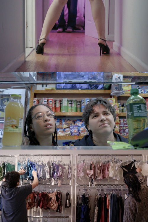 Flash Sale (2025) poster