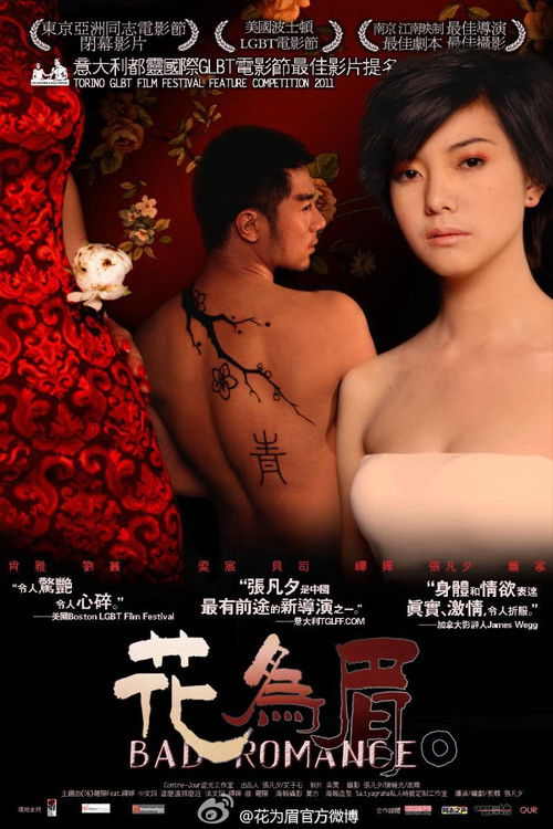 Bad Romance (2011) poster