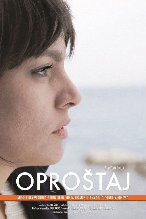 The Farewell (2013) poster