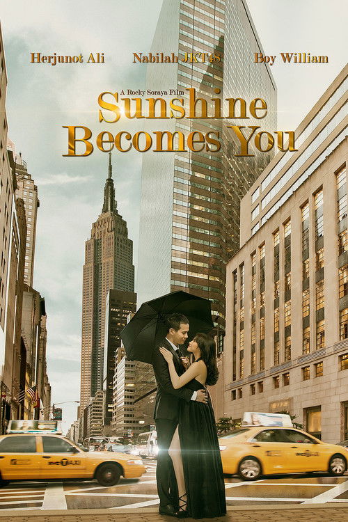 Sunshine Becomes You (2015) poster