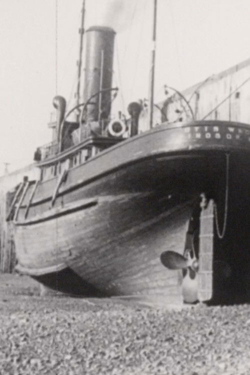 Did You Know That? #6 (1941) poster