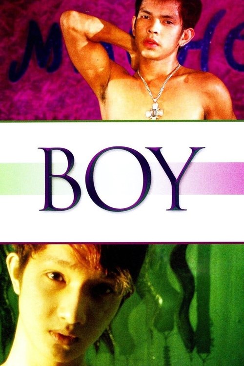 Boy (2009) poster