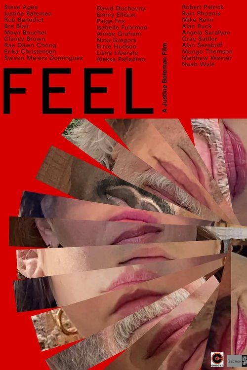 FEEL (2025) poster