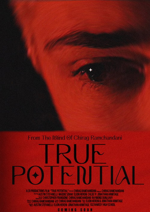 True Potential (2025) poster